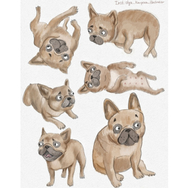 Мой французский бульдог Фрося. Обкатка персонажа