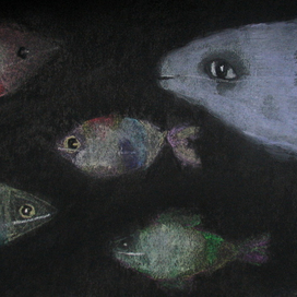 Ночные рыбы