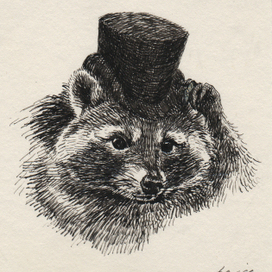 Енот в цилиндре.