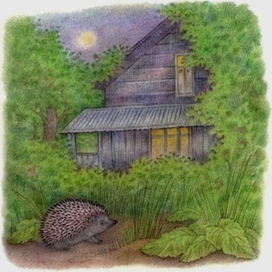 Ночной гость