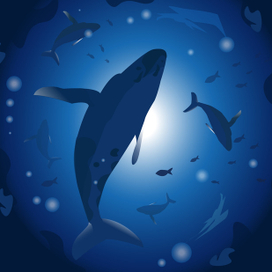 Подводный мир