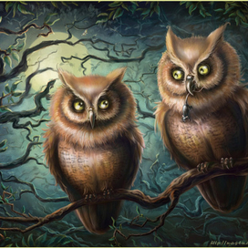 Из жизни сов