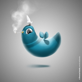 Голубь-морячёк