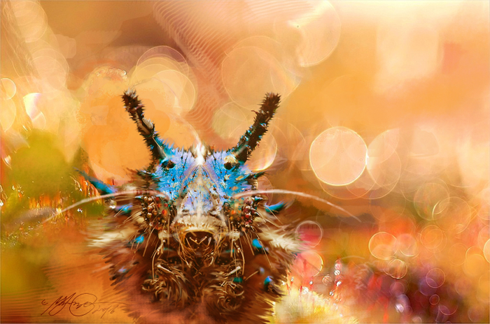 Lewis Carroll, "Alice in Wonderland"