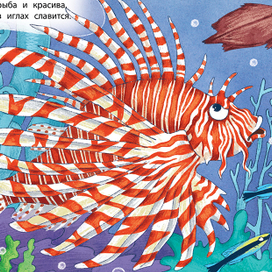 Морской звездочёт