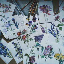Серия открыток для проекта "Цветы*Стихи"