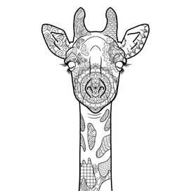 Жираф рисовашки, раскраски