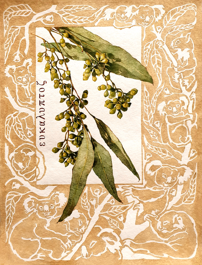 Лечебный эвкалипт