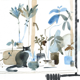 Кот с микроволновкой