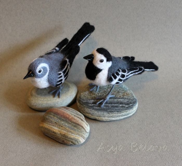 Парочка трясогузок