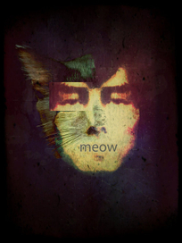 meow