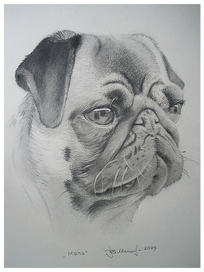 Портрет Джулии.