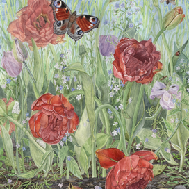 Грядка тюльпанов