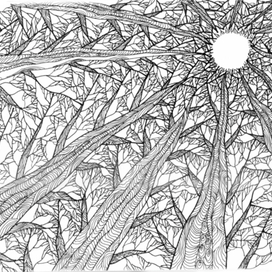 Деревья зимние