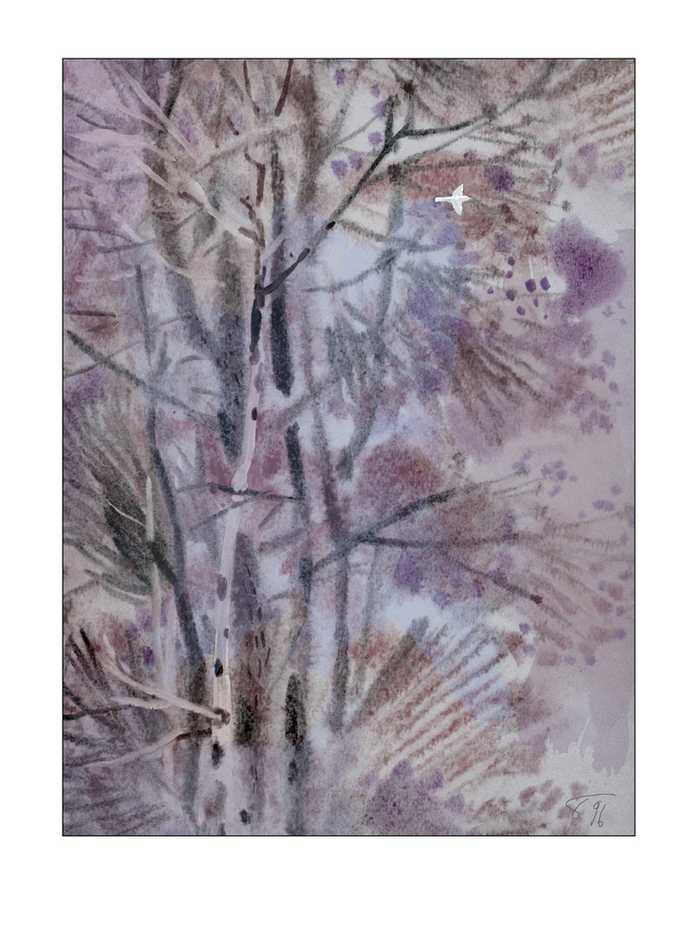 "И всетаки весна будет" серия "Лес"