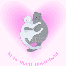 открытка "котики. с днем святого валентина"