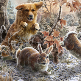 рваное ушко