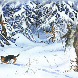 Смычок в полазе.