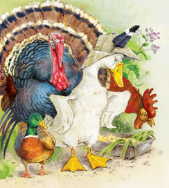 Гадкий утёнок