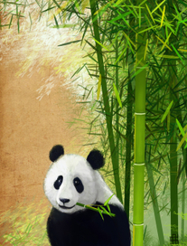 Панда