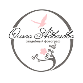 Векторная графика