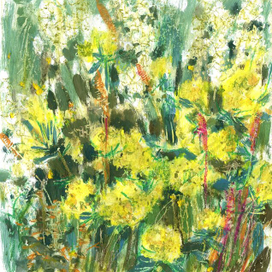 Цветущий луг