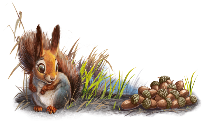 Белочка и жёлуди