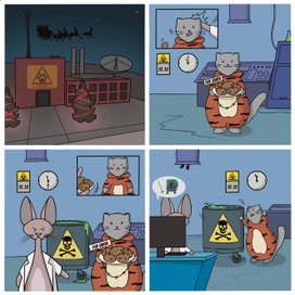 Cat Lab 1