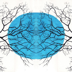 зимние деревья