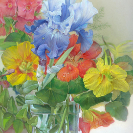 Настурции и ирис