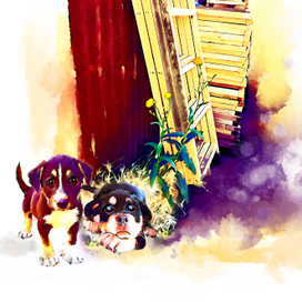 А вдруг ......