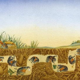 Подземный ход