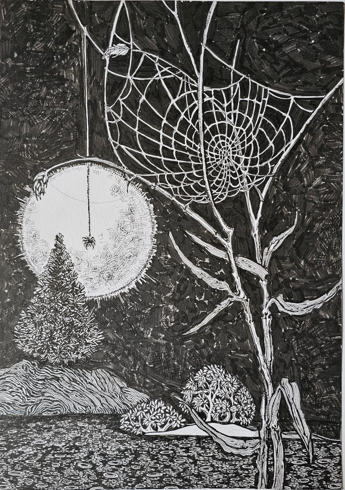 Ночные пейзажи