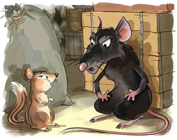 “Боцман, бурундук, кот и крыса"