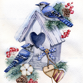 " Зимние сойки ".