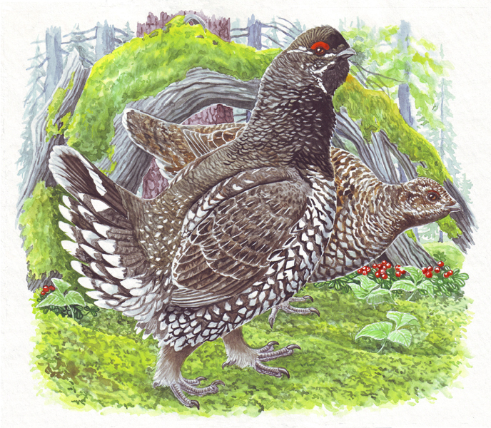 - Скажите, Пётр, а Вы - лидер по жизни? - Да, я знаю, чего хочу. И на спидометре у меня - всего две тысячи.