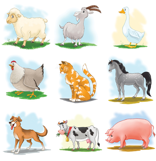 животные мои