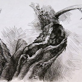 ствол яблони