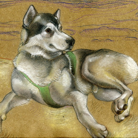 Собака Мазай