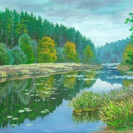 Озерцо в лесу