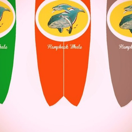 "Покорители волн"