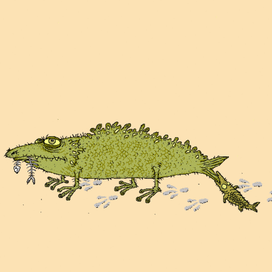 Эволюционер-первовыходец