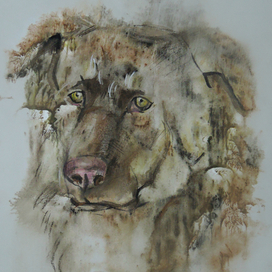 Иллюстрация к украинской сказке "Жил был пёс"