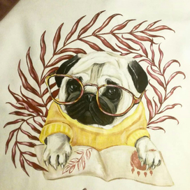 ученый мопс вариан 2)