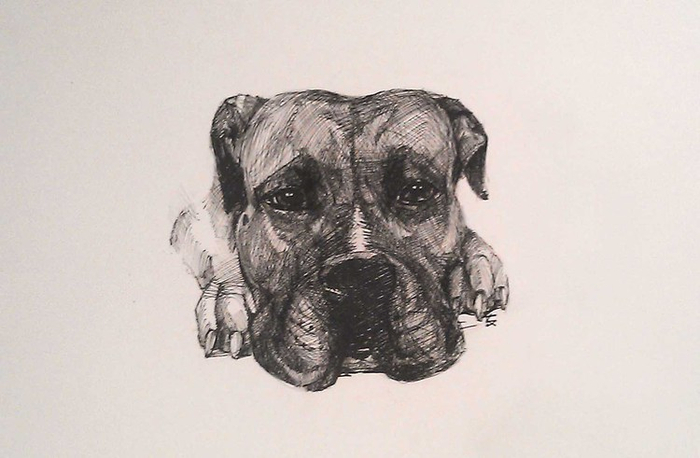 Жил-был пес