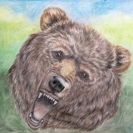 Бурый медведь 🐻 