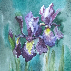 Серия "Цветы"