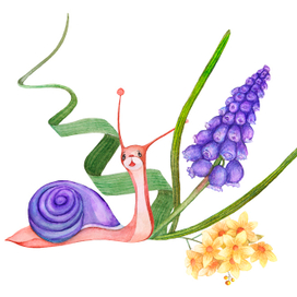 Веселая улитка