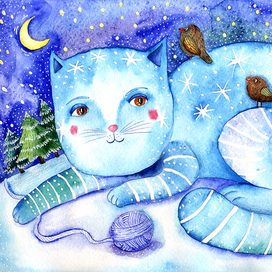 Winter cat
