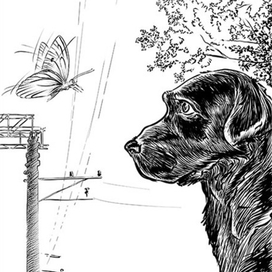 кадр из комикса (проба стиля)